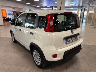 FIAT Panda usata, con Cronologia tagliandi