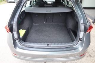 SKODA Octavia usata 124