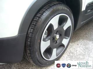 FIAT Panda Cross usata, con Alzacristalli elettrici
