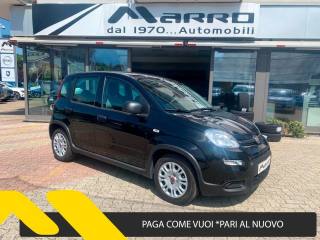 FIAT Panda 1.0 Mild- Hybrid  PERFETTE CONDIZIONI D