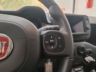 FIAT Panda Cross usata, con Servosterzo