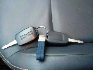 DACIA Spring usata, con Specchietti laterali elettrici