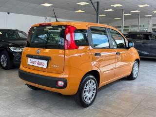 FIAT Panda usata, con Alzacristalli elettrici