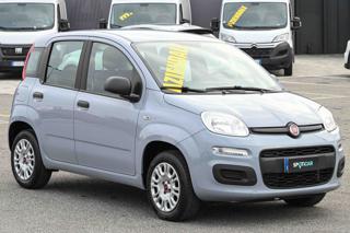 FIAT Panda usata, con Airbag Passeggero