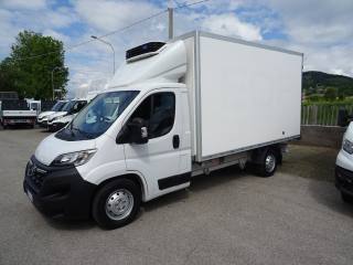 OPEL Movano usata, con Cruise Control