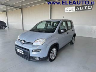 FIAT Panda usata, con Airbag Passeggero