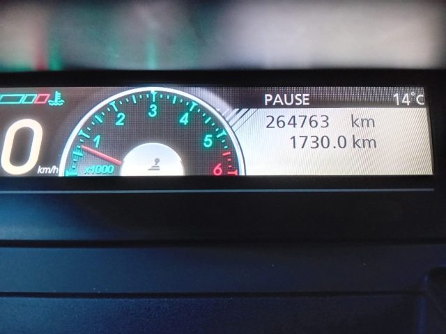 RENAULT Scenic usata, con Climatizzatore