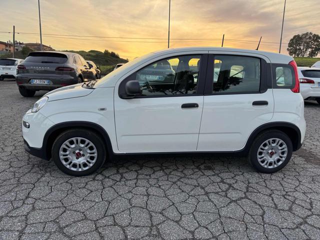 FIAT Panda usata, con Airbag Passeggero