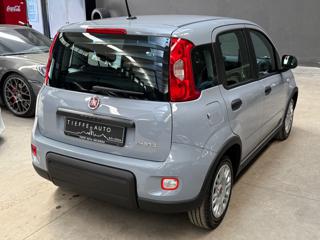 FIAT Panda usata, con Alzacristalli elettrici