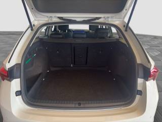 SKODA Octavia usata 12