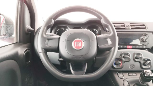 FIAT Panda usata 38