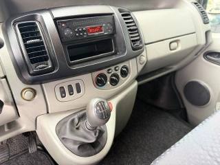 RENAULT Trafic usata 14