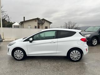 FORD Fiesta usata, con Fendinebbia