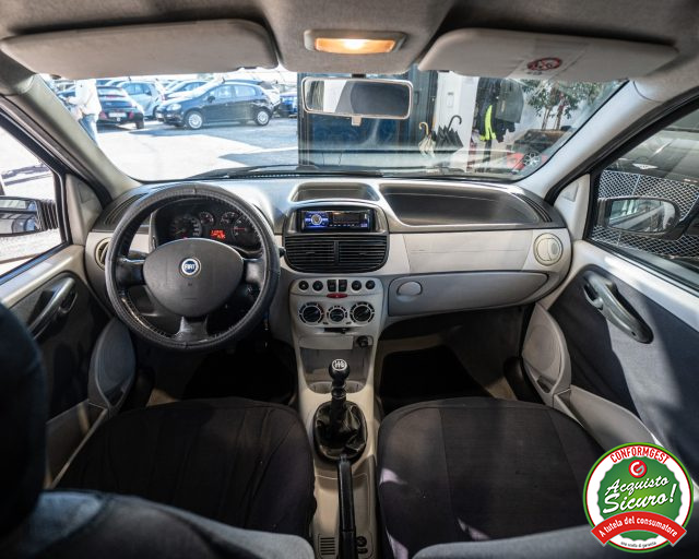 FIAT Punto usata, con Fendinebbia