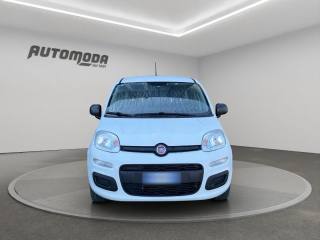 FIAT Panda usata, con Airbag