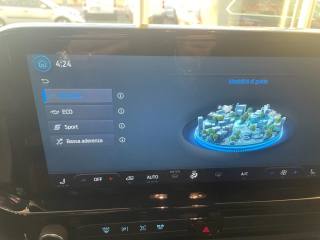 FORD Tourneo Custom usata, con Frenata d