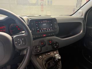 FIAT Panda Cross usata 21