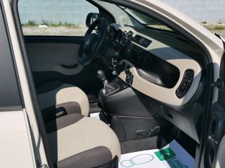 FIAT Panda usata 19