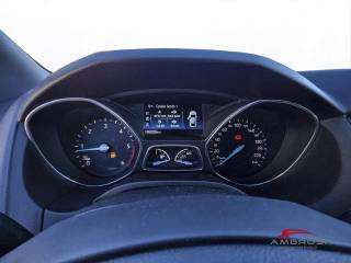 FORD Focus usata 11