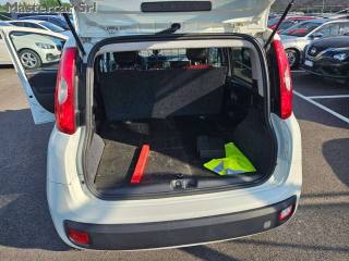 FIAT Panda usata 11