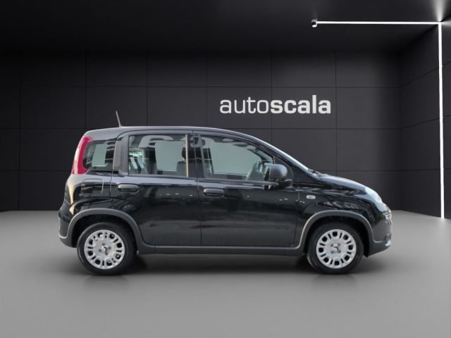 FIAT Panda usata, con Climatizzatore