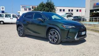 LEXUS UX 250h UX Hybrid Executive 52.800 KM !