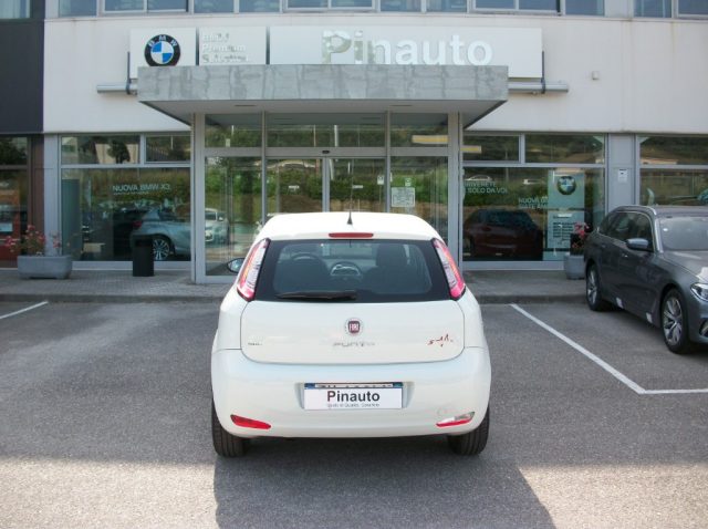 FIAT Punto usata 4
