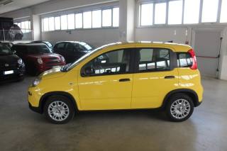 FIAT Panda usata, con Airbag laterali