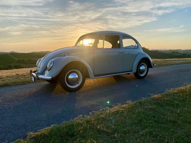 VOLKSWAGEN Maggiolino usata 8