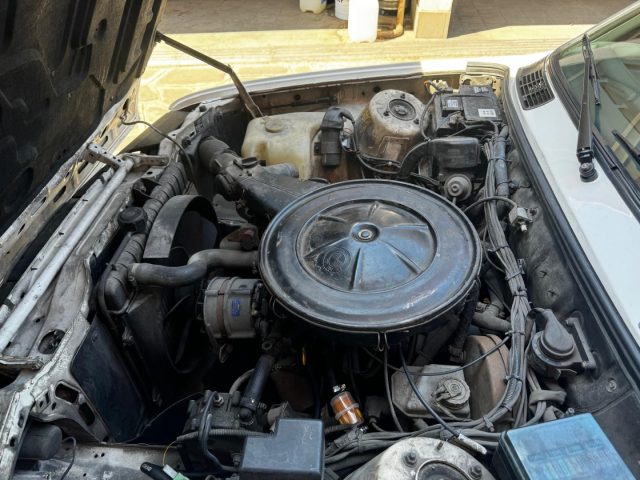BMW 316 usata 12