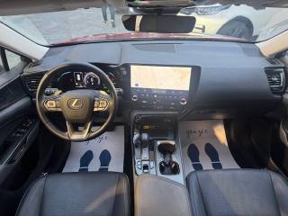 LEXUS NX 300h usata, con Cerchi in lega