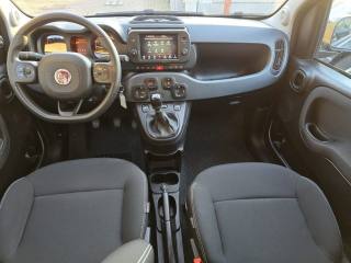 FIAT Panda Cross usata, con Fendinebbia