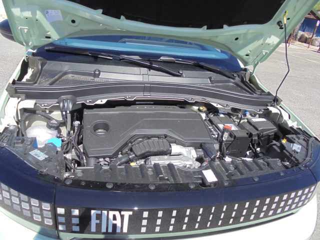 FIAT Grande Panda usata 39