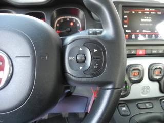 FIAT Panda Cross usata 30