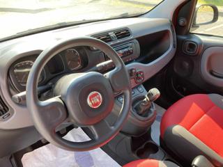 FIAT Panda usata, con ESP