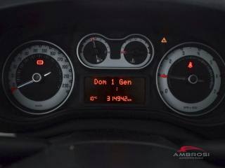 FIAT 500L usata 12