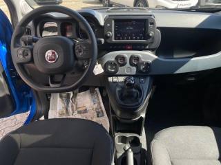 FIAT Panda Cross usata, con Monitoraggio pressione pneumatici