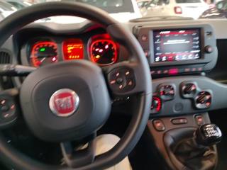 FIAT Panda Cross usata 20