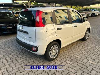 FIAT Panda usata, con Autoradio