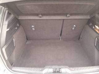 FORD Focus usata, con Fendinebbia