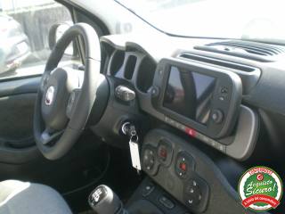 FIAT Panda Cross usata, con ESP