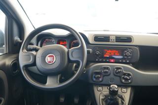 FIAT Panda usata 18