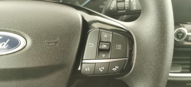 FORD Fiesta usata 45