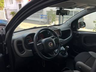 FIAT Panda usata 36