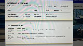 NISSAN Qashqai usata, con Controllo vocale