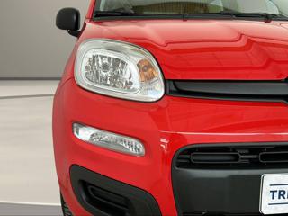 FIAT Panda usata, con Hill holder