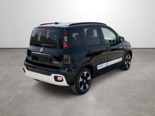 FIAT Pandina usata, con Airbag Passeggero