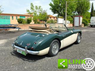 AUSTIN Healey usata 26