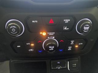 JEEP Renegade usata, con ESP
