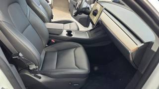 TESLA Model Y usata, con Cruise Control